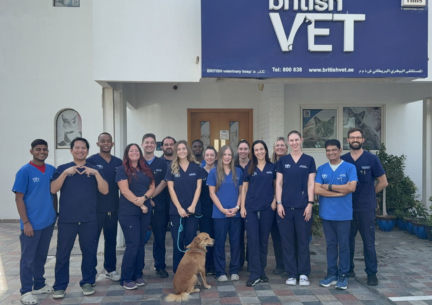 british-vet-team-img